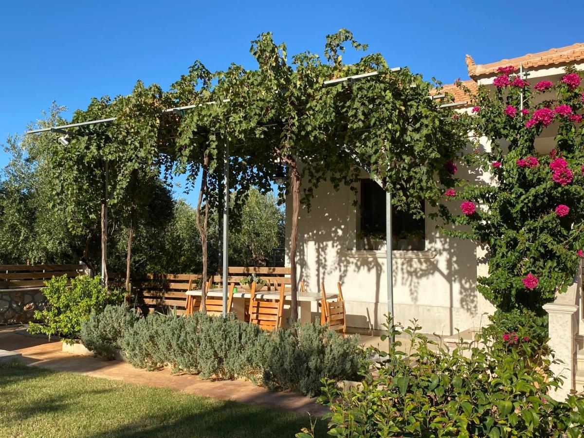 Villa Serenity Agia Marina  Extérieur photo